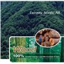 Sauna Infrarot für 3-4 Personen Delphi 3 Personen Infrasauna für 3 PersonenGröße: 1500 x 1100 x 1900 mmHolz: HemlockWarms